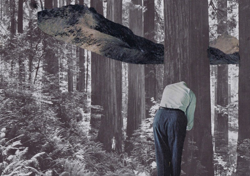 Man in forest collage by Anna Bu Kliewer
