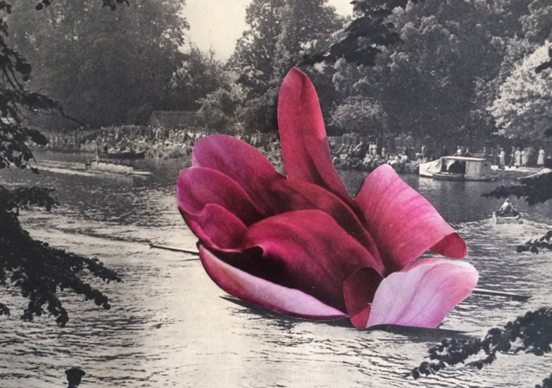 Pink flower in black and white river collage by Anna Bu Kliewer