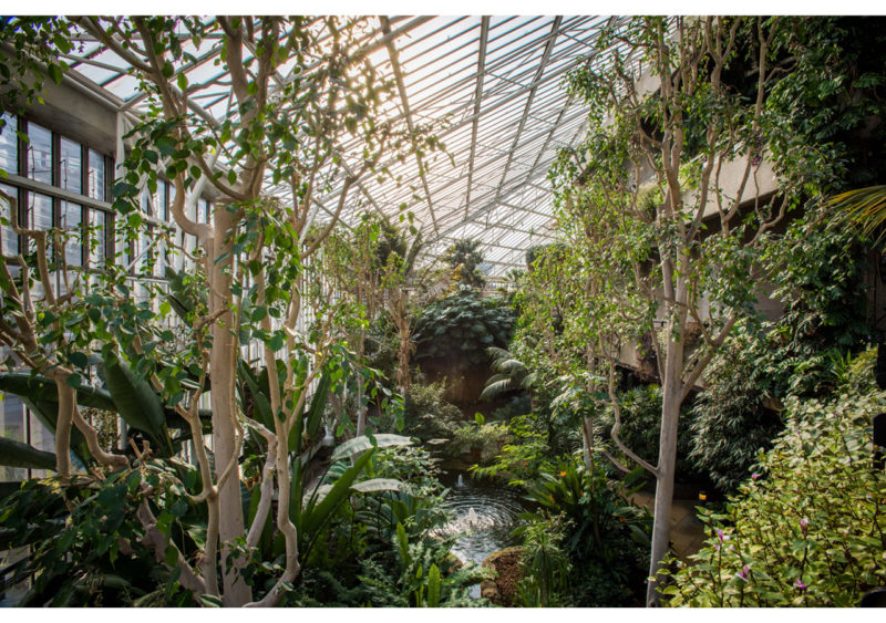 The Barbican Conservatory – A Series on Unusual Artistic Venues.